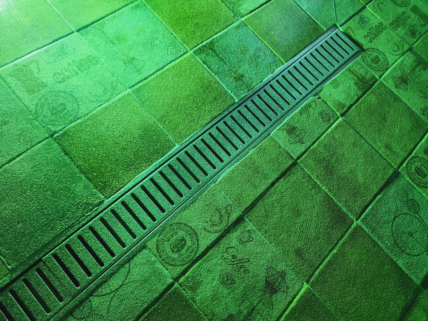 20240414_182110_s.jpg