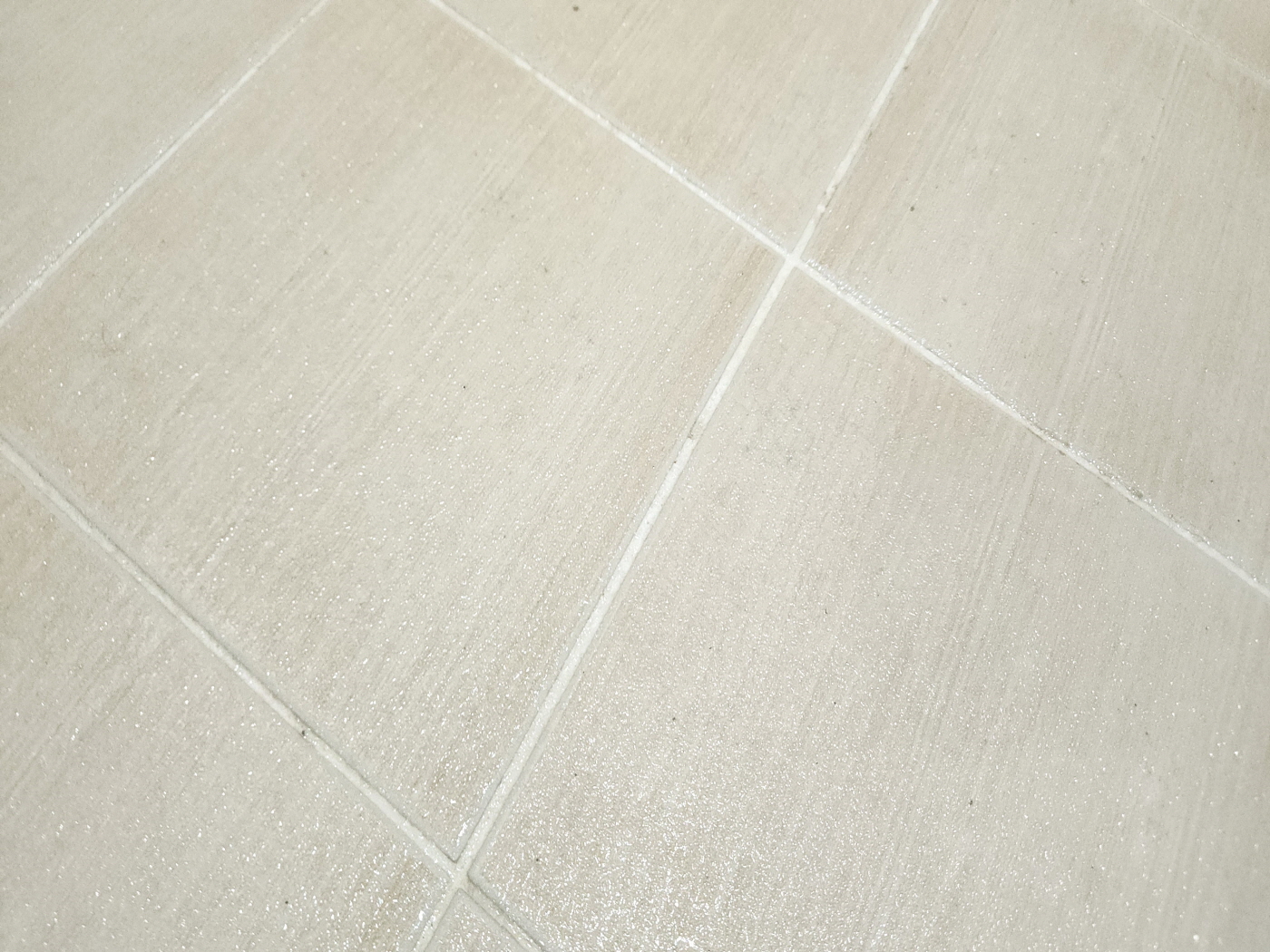 20250212_155635.jpg