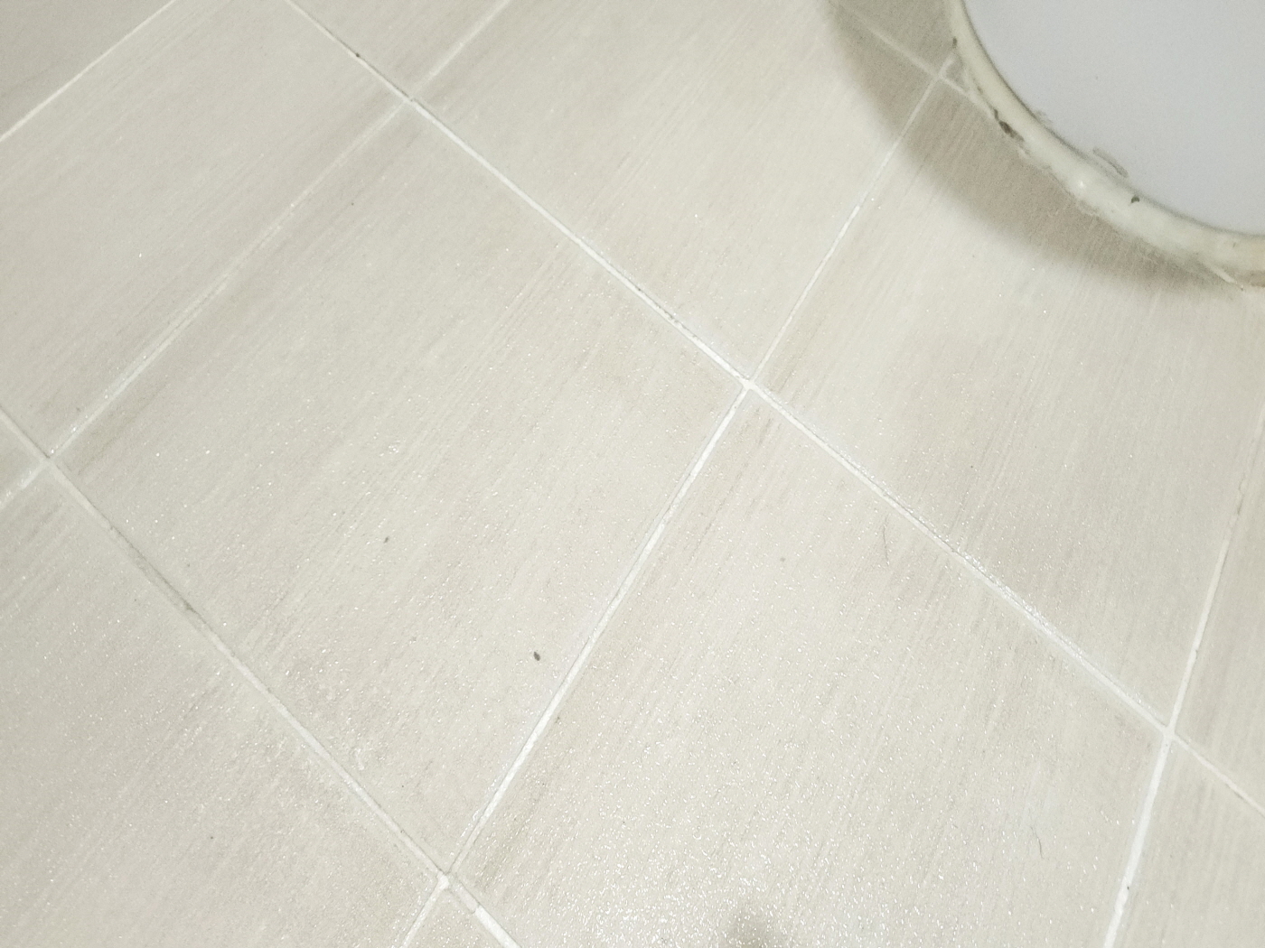 20250212_155642.jpg