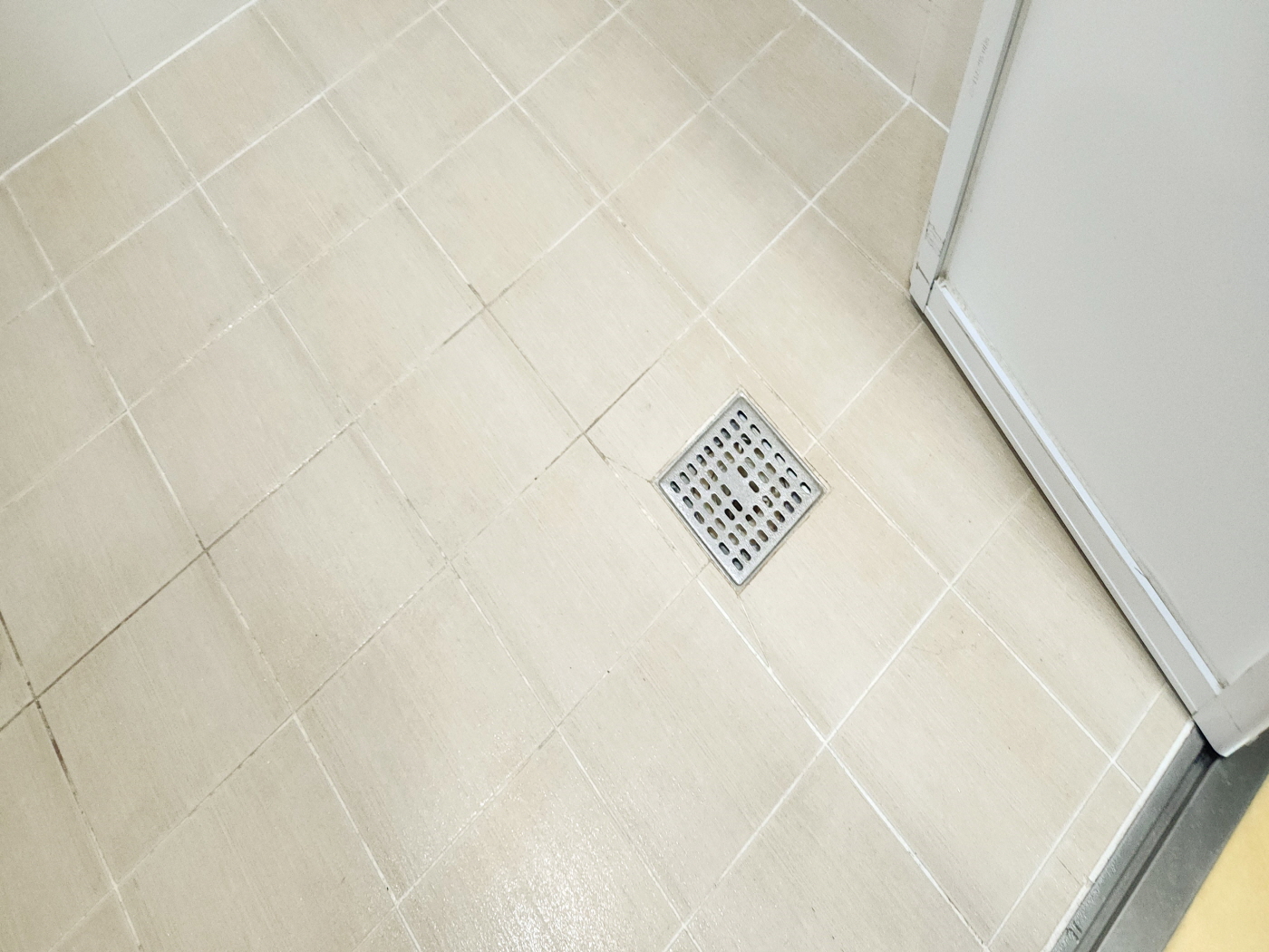 20250212_165503.jpg